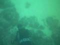 pesca sub. santola
