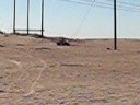 at the Dunes