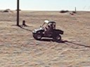 at the Dunes