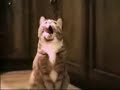 animales hablando jaja http://www.youtube.com/watch?v=weQD-DeaQ04