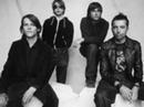 Behind The Drapes - Mew