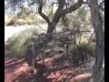 Canning Stock Route 4