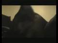 videos de Vito video response