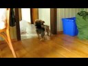 Emmie Meets Spikey