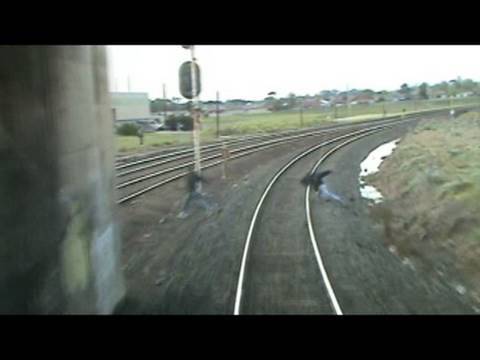 Image de prévisualisation YouTube