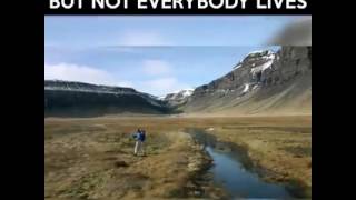 What's your purpose in life?