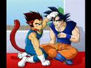 Vegeta and Goku