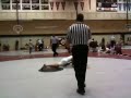 Dowling 2009