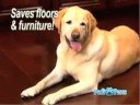 PediPaws PediPaws
