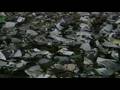 Rufus Sewell reads 9/11: Out Of The Blue Part IV (Final)