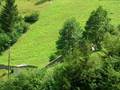karaçam