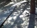 Idy Fall 08 1
