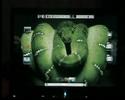 compiz fusion ubuntu 7.10 gutsy gibbon