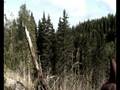 videos de Routa trailer