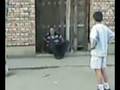 videos de RASA KENGUR-KIKINDA