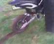 KLB jaybro burnout
