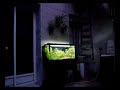 Acuario en verano, noche