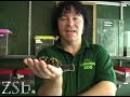 Amazing Arachnids: Mexican Red Kneed Spider Amazing Arachnids: Mexican Red Kneed Spider