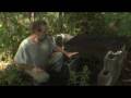 GreyBeard-widescreen 8/10: