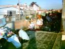 Prepa celaya altares 2008 Prepa celaya altares 2008