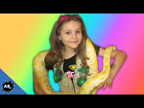 YouTube reptile video