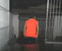 dan�a doida 6