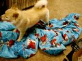 Penni Going Crazy