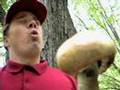 Safety In The Forest - A Filmstrip