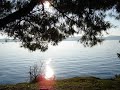 zadar je u srcu mome