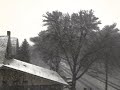 Click to view Snow!
