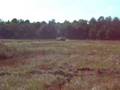 M113 Through The Mud