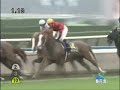 オウケンブルースリ 第69回 菊花賞(ＧＩ)