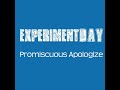 Promiscuous Apologize Remix Promiscuous Apologize Remix