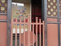 Budistas rezando no templo 2