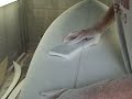 Wellen Surfboard Shaping Wellen Surfboard Shaping