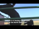 How to Speak Cow