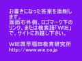 www.wie.co.jp ＷＩＥ西早稲田教育研究所 上智大文学部史学科小論文入試、０８年度出題問題の解説です。