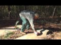 Pallbearer's Graveyard Greenville Florida (Cleaned)
