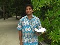 Fihalhohi Maldives