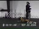 Arus van Joefarm IPO3 protection training