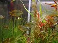 125 gallon aquarium3 125 gallon aquarium3