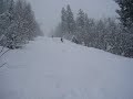 NACHET ALPES 2008