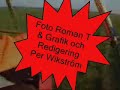 Thumbnail #3
