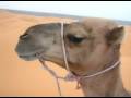 erg chebbi