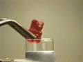Sucrose + KClO3