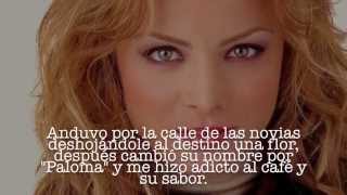 Detrás de la pantalla