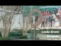 A four minute look at the work of the 15 Florida sculptors featured in the 2011-2012 outdoor exhibition in DeLand, Florida.