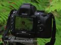Nikon D5000 - Focusing in Live View