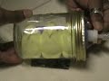peep show: peeps vacuum gauge w/converted bike pump