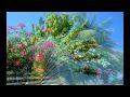 Guadeloupe